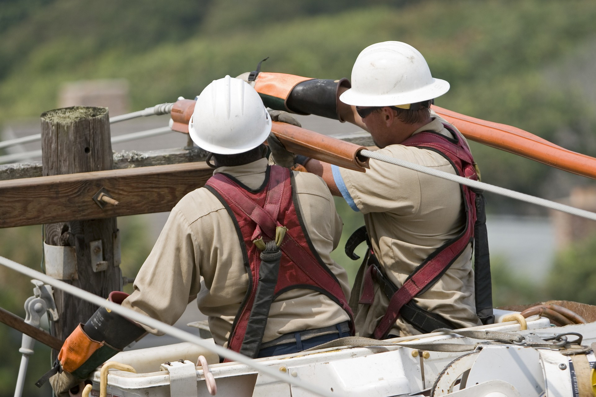 “Our experience has been outstanding. I would recommend NTS to any Cooperative needing more IT resources.”